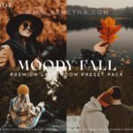 Gói preset dành cho ảnh chụp mùa thu – Moody Fall Lightroom Mobile & Desktop Presets, Autumn Presets (xmp/acr, dng) A15T23