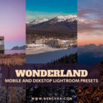 Gói Wonderland Lightroom Presets lấy cảm hứng từ phong cách thẩm mỹ quyến rũ (xmp/acr, dng) W15D40