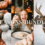 🎄Seasons Lightroom Preset Bundle🎄 Cuối cùng thì thời điểm kỳ diệu nhất trong năm cũng đã đến! (xmp/acr, lrtemplate, dng) S16P04