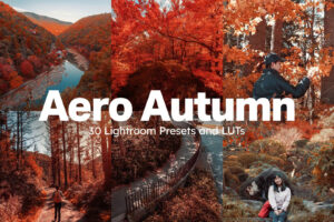 autumn lightroom presets luts