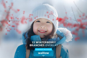 Winter Berry Branches Transparent Png Overlays Free Download 35 nencyha.com winter berry branches transparent png overlays 1
