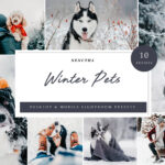 10 x Winter Pets Presets, Christmas Presets, Dark Presets, Portrait Presets (xmp/acr, dng, lr) B18C21