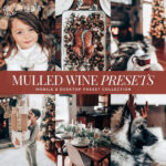 Christmas Presets — Mulled  Wine Presets, Rich Color, Rustic Tones, Holiday Aesthetic Presets (xmp/acr, lr) W18N25