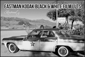 nencyha.com eastman kodak black and white films luts 2