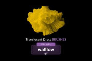 nencyha.com translucent dress digital brushes for photoshop 0