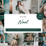 10 x Noel Lightroom Presets, Christmas Presets, Green Presets, Portrait Presets (xmp/acr, dng, lr) N18E03