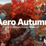 Aero Autumn Lightroom Presets & LUTs – Tạo Nên Bức Ảnh Mùa Thu và Sự Độc Đáo Của Phim Hồng Ngoại Aerochrome (xmp/acr, cube) V27B64