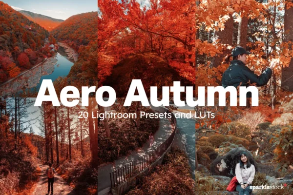 nencyha.com aero autumn lightroom presets and luts 0