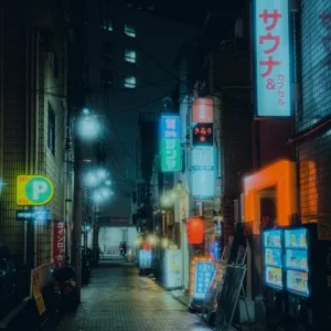 Cinematic Stills - Tokyo Stills – Gói preset 6 tone màu chỉ bằng một cú nhấp chuột giúp mang đến cho ảnh của bạn vẻ cổ điển độc đáo (xmp/acr, dng) B33K63 11 nencyha.com cinematic stills tokyo stills 0