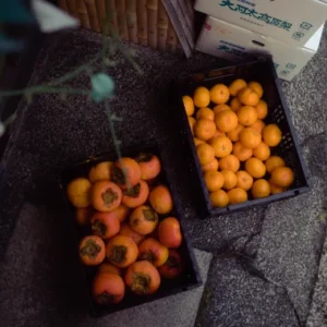 Cinematic Stills - Tokyo Stills – Gói preset 6 tone màu chỉ bằng một cú nhấp chuột giúp mang đến cho ảnh của bạn vẻ cổ điển độc đáo (xmp/acr, dng) B33K63 10 nencyha.com cinematic stills tokyo stills 1