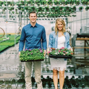 nencyha.com the archetype process the green pack ii 2024 0