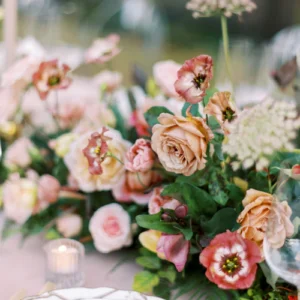 nencyha.com the archetype process the green pack ii 2024 1