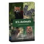 Wildlife Presets - It's Animals - Preset Pack – Bộ Preset Dành Cho Nhiếp Ảnh Động Vật (xmp/acr) W30B32