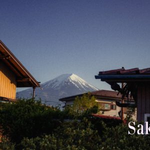 CineFilm - Cinematic Presets – Gói Preset Mang Phong Cách Phim Điện Ảnh Bắt Mắt (xmp/acr, dng) B44M59 12 Sakura