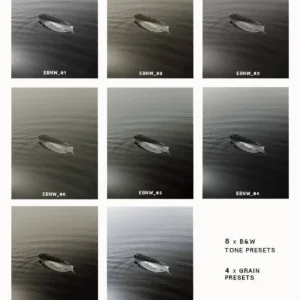 envijon - Black & White Photo Pack – Gói Borders Textures Film và Preset – Tinh Hoa Của Ngày Xưa (xmp/acr, png) B42V72 26 envijon black white photo pack nencyha.com 15