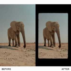 envijon vintage video elements nencyha.com 5