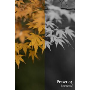 Frontier LR Preset Pack – Gói presets 07 tone màu phim nhẹ nhàng cho hình ảnh của bạn (xmp/acr, dng) N48N81 12 frontier lr preset pack goi presets 07 tone mau phim nhe nhang cho hinh anh cua ban 4