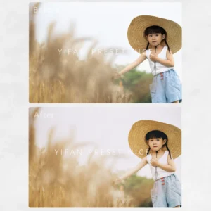 Gói Preset và LUTs 07 Tone Màu Phim Đẹp Và Ấn Tượng Dành Cho Ảnh Chụp Trẻ Em Và Chân Dung (xmp/acr, dng, cube) B53B99 3 Gói Preset và LUTs 07 Tone Màu Phim Đẹp Và Ấn Tượng Dành Cho Ảnh Chụp Trẻ Em Và Chân Dung (xmp/acr, dng, cube) B53B99