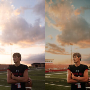 lemon and lace studios ai lemon twist goi preset hon 100 preset co dien song dong 16