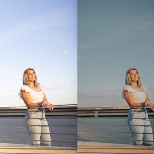 lemon and lace studios ai lemon twist goi preset hon 100 preset co dien song dong 17