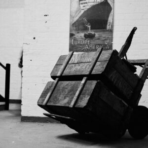 nencyha.com digistock trix 400 for c1 1