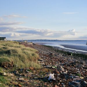 Digitstock - Pro 400H for Capture One – Fuji Pro 400H là một trong những loại phim âm bản hiện đại được yêu thích nhất (costylepack) F41B34 14 nencyha.com digitstock pro 400h for capture one 2