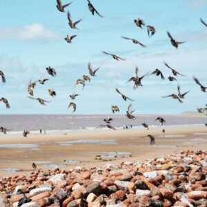 nencyha.com gold 200 advanced for capture one 11