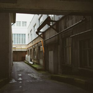 nencyha.com gold 200 advanced for capture one 7