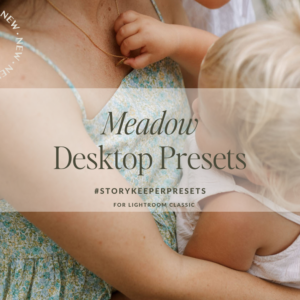 Storykeeper: Meadow Desktop Presets ~ *New 2024 Pack – Những giai điệu đẹp được thực hiện dễ dàng (xmp/acr) N40G69