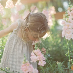 nencyha.com the archetype process the green pack i 0