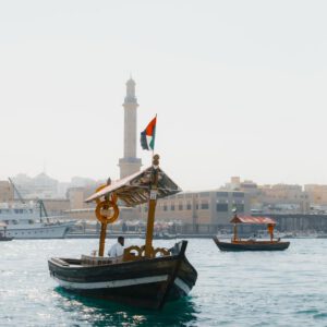 roman fox snaps by foxy 2024 presets 12