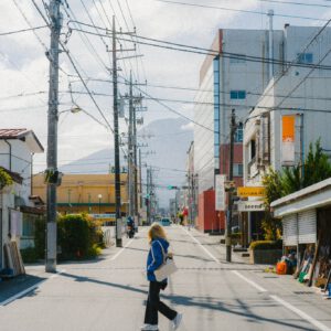 roman fox snaps by foxy 2024 presets 2