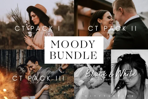 THE MOODY WEDDING BUNDLE - by CityTurtles – Bộ Sưu Tập Preset Dành Cho Ảnh Đám Cưới (xmp/acr, lr, dng) V48H50