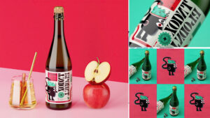 Đam mê thiết kế và nghệ thuật thủ công, khóa học này là lý tưởng cho bạn (mp4/psd) 5 Đam mê thiết kế và nghệ thuật thủ công, khóa học này là lý tưởng cho bạn.