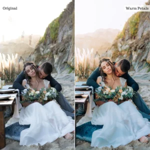 warm petals single color palette presets goi presets cho phong cach chup anh cuoi dinh hon va chan dung 7