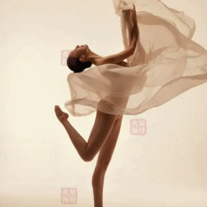 bo preset 46 tone mau thoi trang co dien khieu vu hien dai anh chan dung feisi studio 3