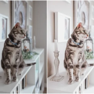 Clean + Bright Lifestyle Lightroom Presets – Gói Preset 18 Tone Màu Sạch Sẽ Và Tươi Sáng (xmp/acr) L59K87 15 clean bright lifestyle lightroom presets goi preset 18 tone mau sach se va tuoi sang 11