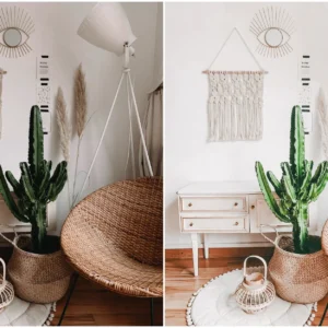 Clean + Bright Lifestyle Lightroom Presets – Gói Preset 18 Tone Màu Sạch Sẽ Và Tươi Sáng (xmp/acr) L59K87 12 clean bright lifestyle lightroom presets goi preset 18 tone mau sach se va tuoi sang 6