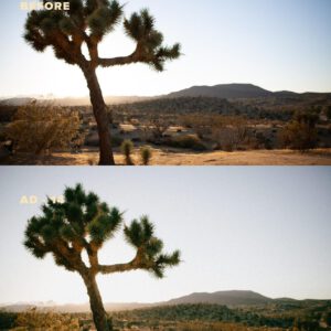 g presets analog days goi preset mau phim analog hoai co an tuong 6