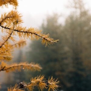 presets by frauki vol ii desktop goi preset mau phim danh cho du lich trai nghiem 6