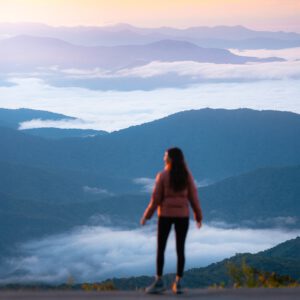 reneeroaming essentials desktop pack goi preset thiet ke cho nhiep anh chan dung phong canh 1