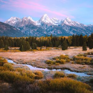 reneeroaming essentials desktop pack goi preset thiet ke cho nhiep anh chan dung phong canh 2