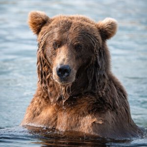 reneeroaming essentials desktop pack goi preset thiet ke cho nhiep anh chan dung phong canh 4