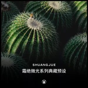 ShuangJue – Faint Light – Gói Preset Frost Glimmer 2024 Phim Nhật Bản (xmp/acr, dng, lr) K54P51 5 shuangjue faint light goi preset frost glimmer 2024 phim nhat ban 1