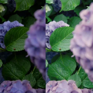 bo preset va luts kodak 5219 phong cach phim dien anh nhat ban 2025 3