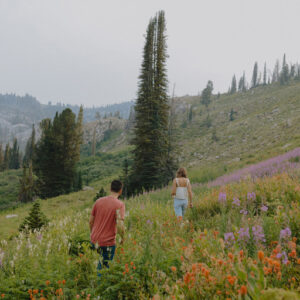 DVLOP - Kylie Morgan Feels Like Home – Bộ Sưu Tập Preset Màu Film Cảm Giác Hoài Niệm Ấm Áp và Mơ Hồ (xmp/acr) A74D75 11 dvlop kylie morgan feels like home bo suu tap preset mau film cam giac hoai niem am ap va mo ho 5