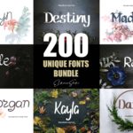 Eldamar Studio - 200 Unique Fonts Bundle - Bộ Sưu Tập 200 Phông Chữ Độc Đáo  F64E88