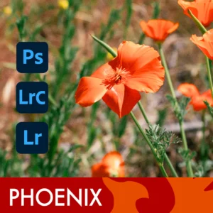 Film is Fun - Phoenix 200 Film Emulation Presets - Gói preset mô phỏng Film màu đầu tiên được sản xuất bởi Harman (dng, xmp/acr, atn) H72M50