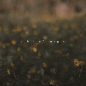 Tina Sosna - Photo Preset Package - Calm & Quiet - Lightroom Desktop/Mobile – Gói Preset Màu Film Mang Đến Sự Yên Tĩnh Lãng Mạn Nên Thơ Trong Tác Phẩm Của Bạn (xmp/acr, dng) A72X94 12 tina sosna photo preset package calm quiet lightroom desktop mobile goi preset mau film mang den su yen tinh trong tac pham cua ban 3