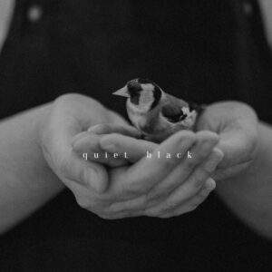 Tina Sosna - Photo Preset Package - Calm & Quiet - Lightroom Desktop/Mobile – Gói Preset Màu Film Mang Đến Sự Yên Tĩnh Lãng Mạn Nên Thơ Trong Tác Phẩm Của Bạn (xmp/acr, dng) A72X94 14 tina sosna photo preset package calm quiet lightroom desktop mobile goi preset mau film mang den su yen tinh trong tac pham cua ban 6